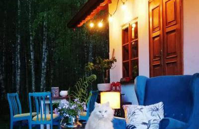 Siedlisko MiłoBrzózka - Photo 18