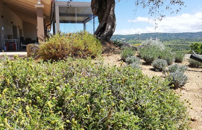 Agriturismo Le Piccole Macie - Photo 39