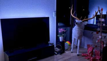 Gîte 205 m2 avec piscine et jacuzzi - Foto 4