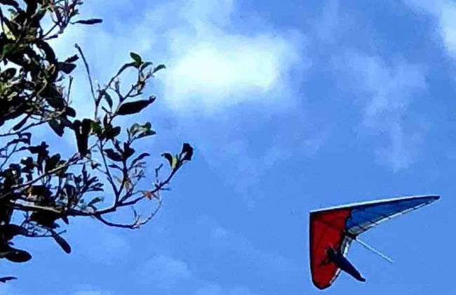 Cabane Tiny Tree House no4 - Foto 29