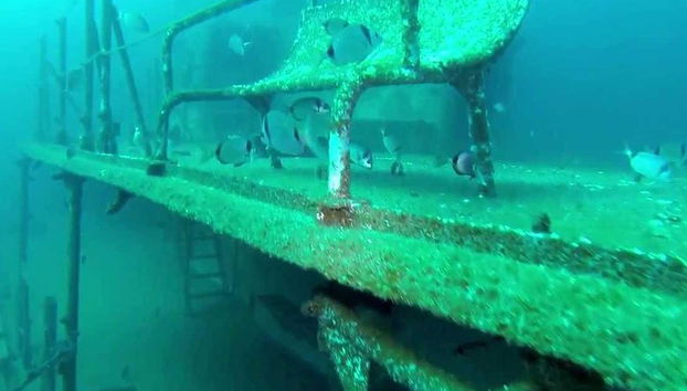 Double plongée dans le fantastique parc Ocean Revival - Photo 4