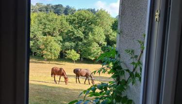 logement à la campagne - Photo 2