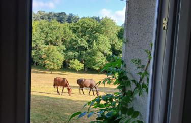 logement à la campagne - Photo 2