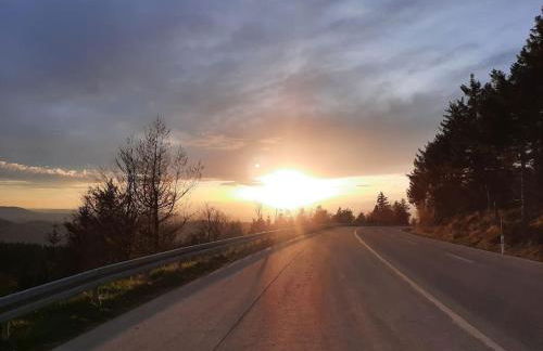 Ferienwohnung Schwarzwaldblick - Photo 38