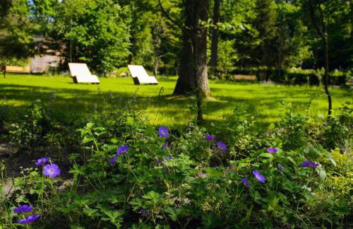 Apartament w Puszczy Białowieskiej - Foto 26