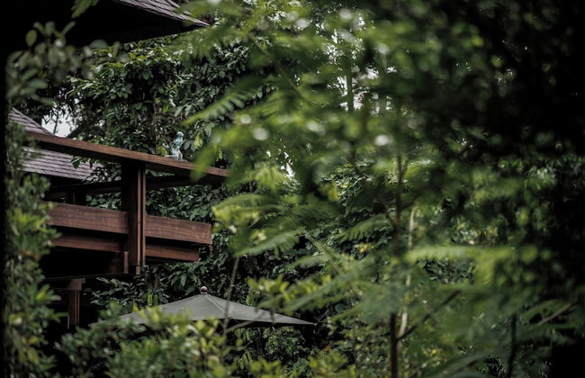 Janjisurga by Ekosistem - Photo 4