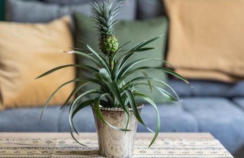 Casa-Sarah Ferienwohnungen - Photo 16