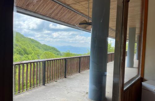 TERMINILLO - I Fiori del Terminillo - Tre Faggi - Foto 51