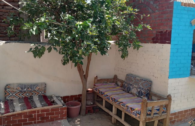 Green Palace Garden - Foto 26