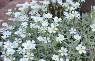 FeWo am Neckarsteig mit Anbindung an Heidelberg - Photo 19