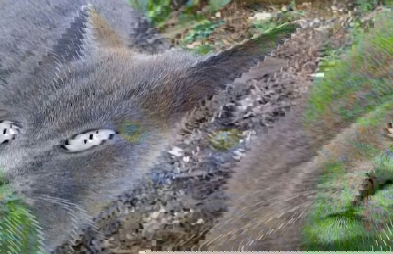 Agriturismo Il Colle - Foto 15