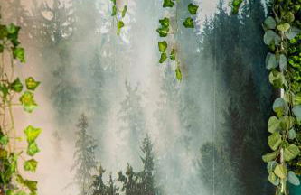 Jurassique Appart - Foto 16