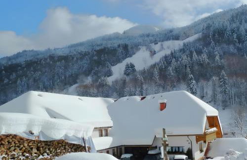 Haus am Rotwiesenbach - Foto 35