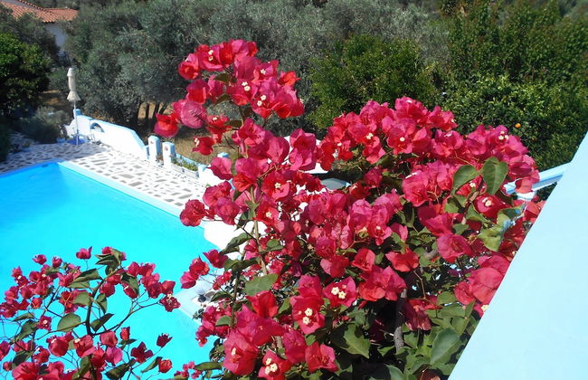 Meltemia Studio Samos Near the Beach - Foto 13