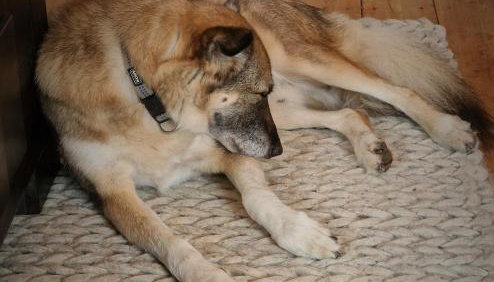 das rote Ferienhaus Terlinden - Foto 4