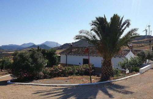 Finca Rustica Los Gamonales - Foto 18