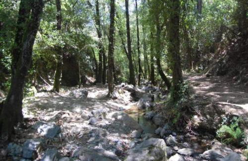 El Águila, Stone Cottage - Foto 37