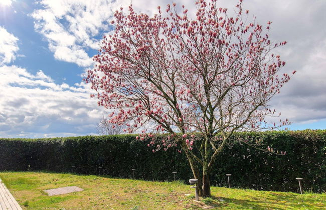 Villa Cassia di Baccano - Photo 27