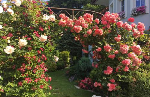 Domek i Apartamenty Zacisze - Foto 66