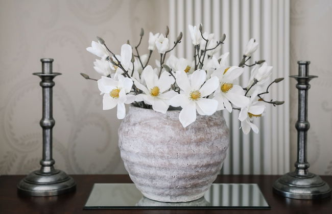 Cherry Trees - Foto 39