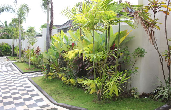 The Kayuputih - Foto 19