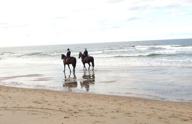 Summer Melody Comfortable Holiday Residence - Foto 30