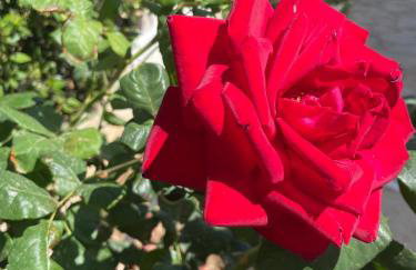 Villa Orangerie - Where Luxury Meets Serenity - Foto 64