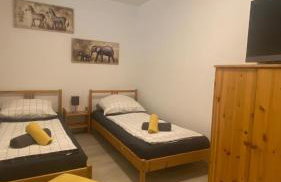 2 Schlafzimmer Apartment, Küche u Terrasse in Freiburg - Foto 1