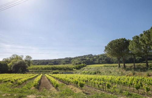 Gite Tresques - Foto 8