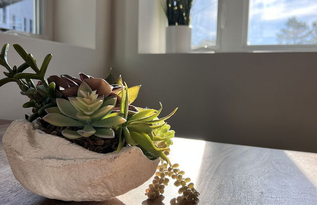 The Beach Bunker - Photo 5