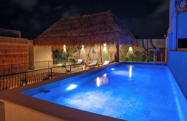 Calea Tulum - Photo 62