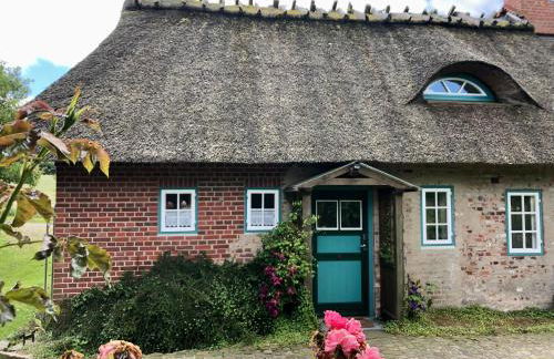 Reetdachkate Fuchsgraben - naturnah & stilvoll mit Wald-Sauna - Foto 52