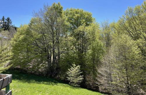 Studio le Coquelicot - Foto 10