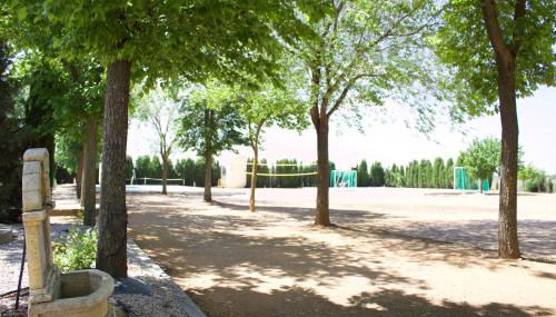 Lujosa casa en la cuna del Quijote - Photo 5, Garden view