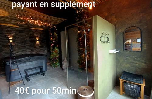 VILLAS-DU-LAC Appartements de vacances et Espace Spa privé - Foto 54