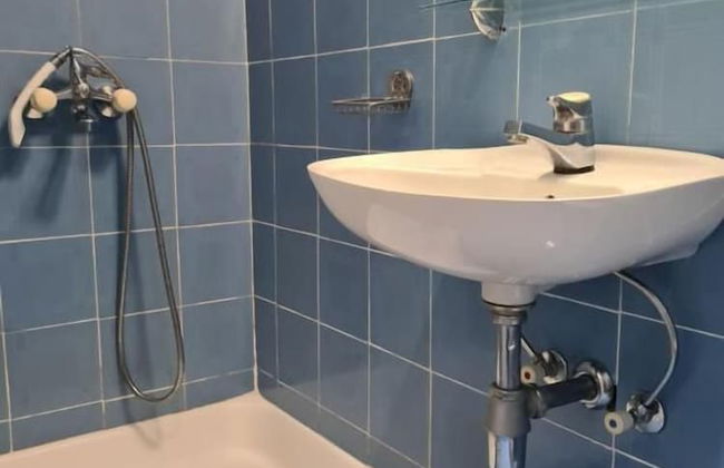 Olive Garden Apartments Petrovic - Foto 24