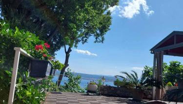 Golden Oasis - Foto 5, Garden, Garden view