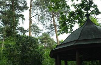 Leśny kasztel pod sosnami. Pokój w koronach drzew. - Foto 21