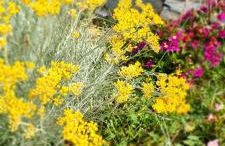 Les Terrasses du Maquis - Foto 8