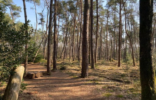 Holiday Home in Haarle Near Sallandse Heuvelrug - Foto 33