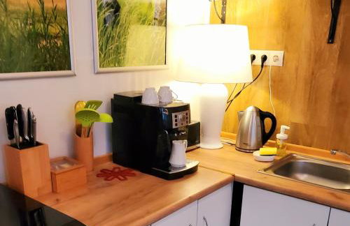 Szczodre Sybillenort blisko Wrocławia - Photo 48