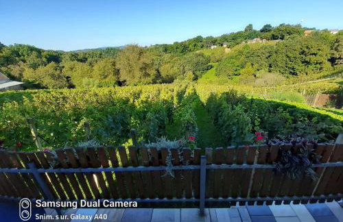 Kuca za odmor Vinica breg - Foto 15