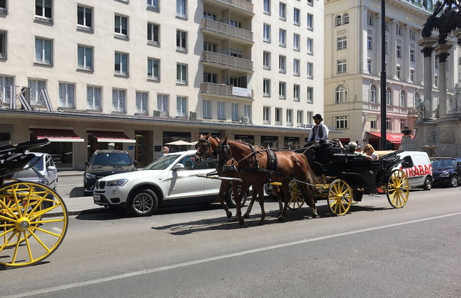 Heart of Vienna Homes - Photo 70