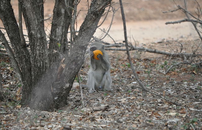 Villa ZaZu - Photo 37