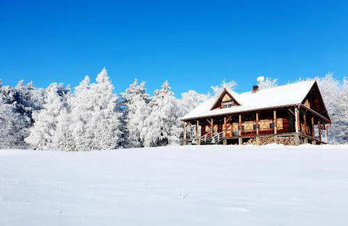 Dom na Kamieńcu - Photo 30