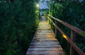 Domki Lawendowy Zakątek - Foto 41