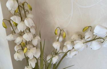 Villa Alexander - Photo 32