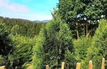 Chalet Wickie - Foto 7