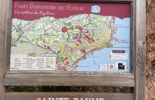 Domaine Valescure vue Piscine ou Pinede - Wifi - Foto 57