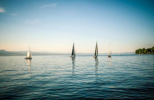 La Résidence Fleurie, vue sur le Lac Léman - Foto 52